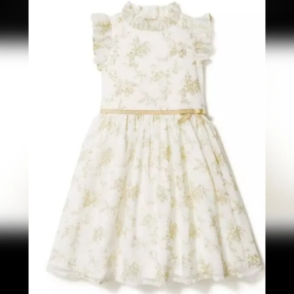 Janie and Jack Girl's Cream Color Shimmer Floral Chiffon Dress girls size 7 NNT - Picture 2 of 8